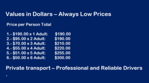 San Antonio port private shuttle transfer